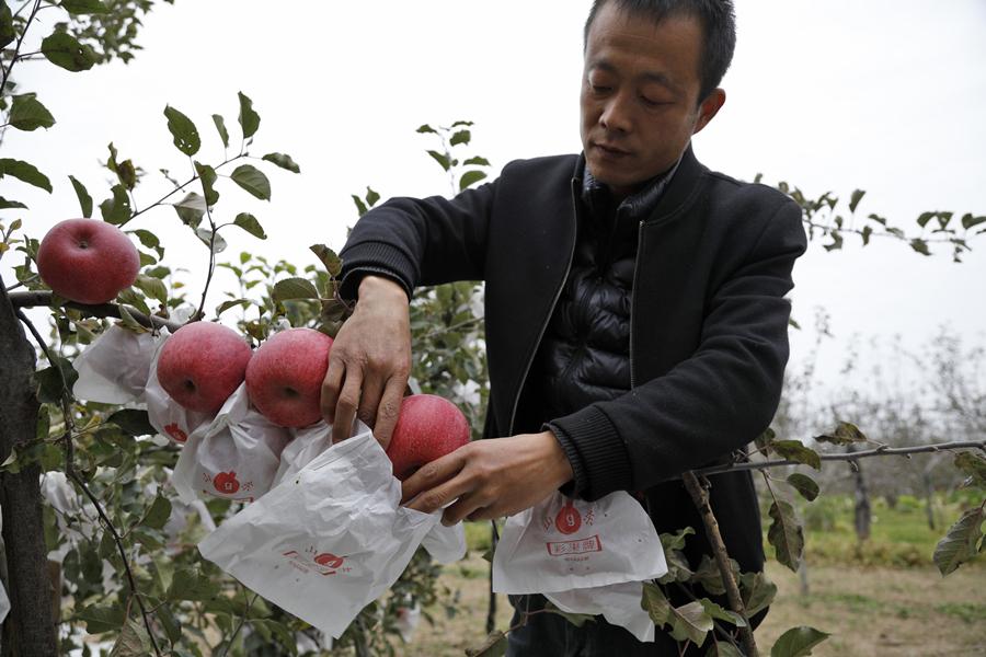 卖孔明灯致富经_卖孔明灯技巧_卖孔明灯怎么吸引人