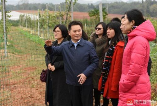 致富经脐橙种植_致富种植脐橙怎么样_种植脐橙收益怎么样