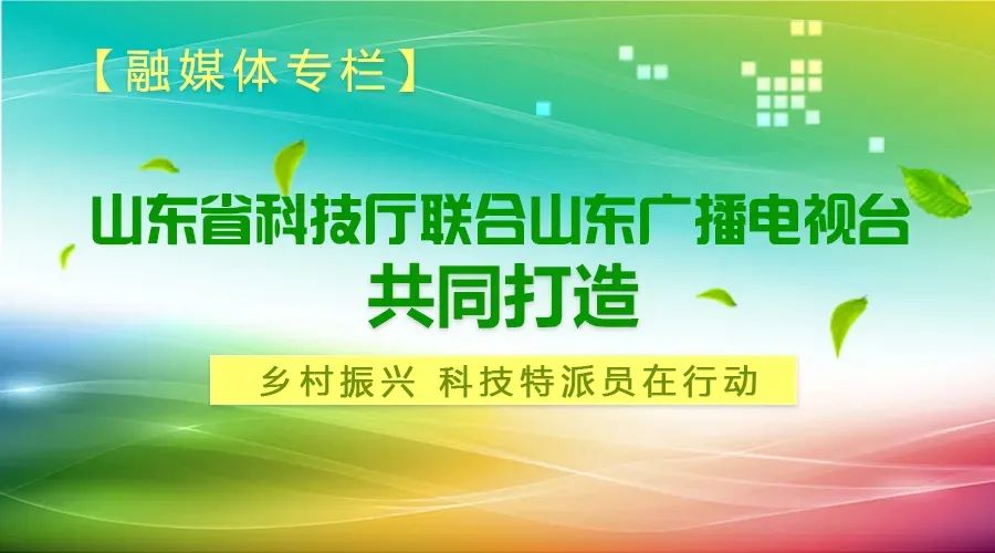 访谈 |   “乡村振兴 科技特派员在行动”第八十六期直播请戳→