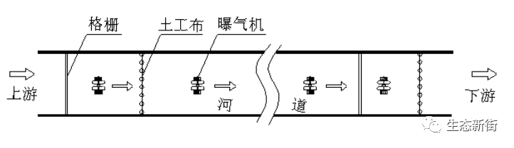 家庭栽种女贞树的寓意是什么_女贞树种植致富_女贞树种植前景