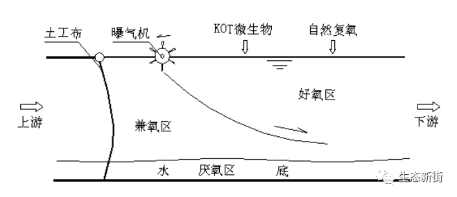 女贞树种植前景_家庭栽种女贞树的寓意是什么_女贞树种植致富