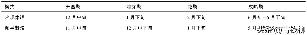 日本葡萄栽培_日本种植葡萄技术_曰本葡萄种植新技术