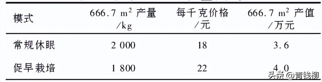 日本葡萄栽培_日本种植葡萄技术_曰本葡萄种植新技术