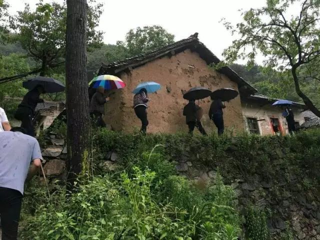 栽女贞树对风水好吗_女贞树种植致富_种女贞树有什么讲究