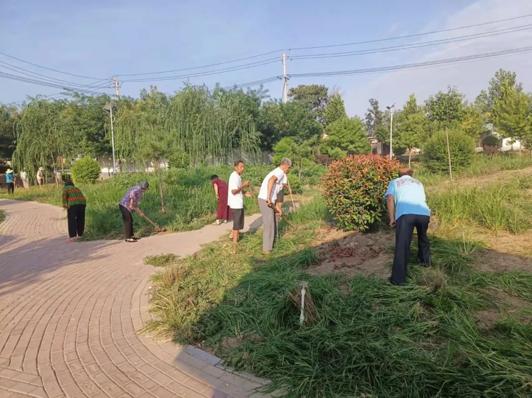 女贞树种植前景_女贞树种植致富_栽女贞树对风水好吗