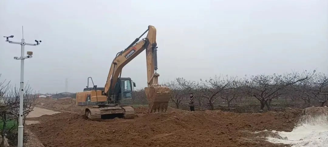 家庭栽种女贞树的寓意是什么_女贞树种植致富_女贞树种植前景