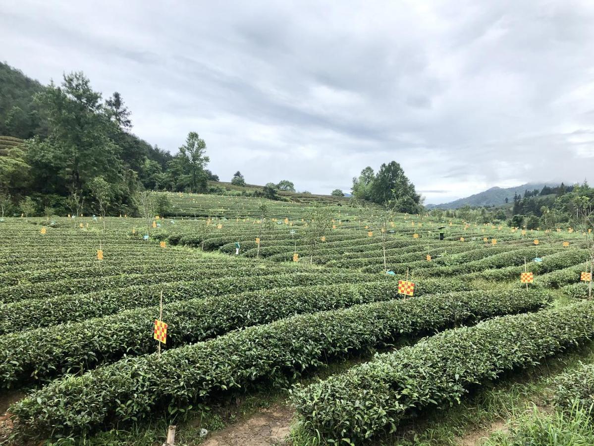 农业致富种植故事_致富种植农业故事简短_致富种植农业故事简介