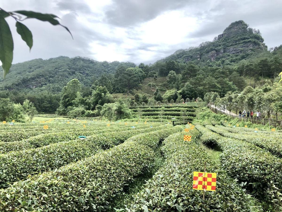 致富种植农业故事简介_农业致富种植故事_致富种植农业故事简短