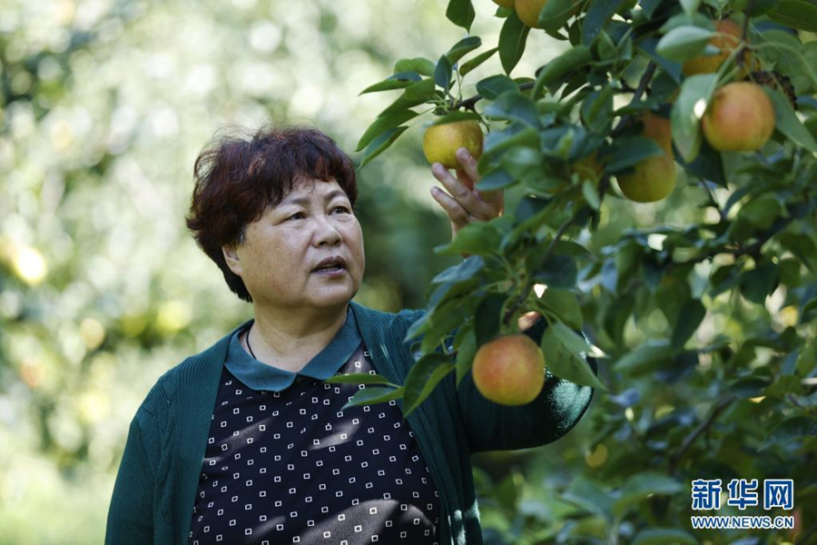 农业致富种植故事_致富种植农业故事简短_致富种植农业故事简介