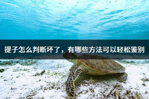 提子怎么判断坏了，有哪些方法可以轻松鉴别