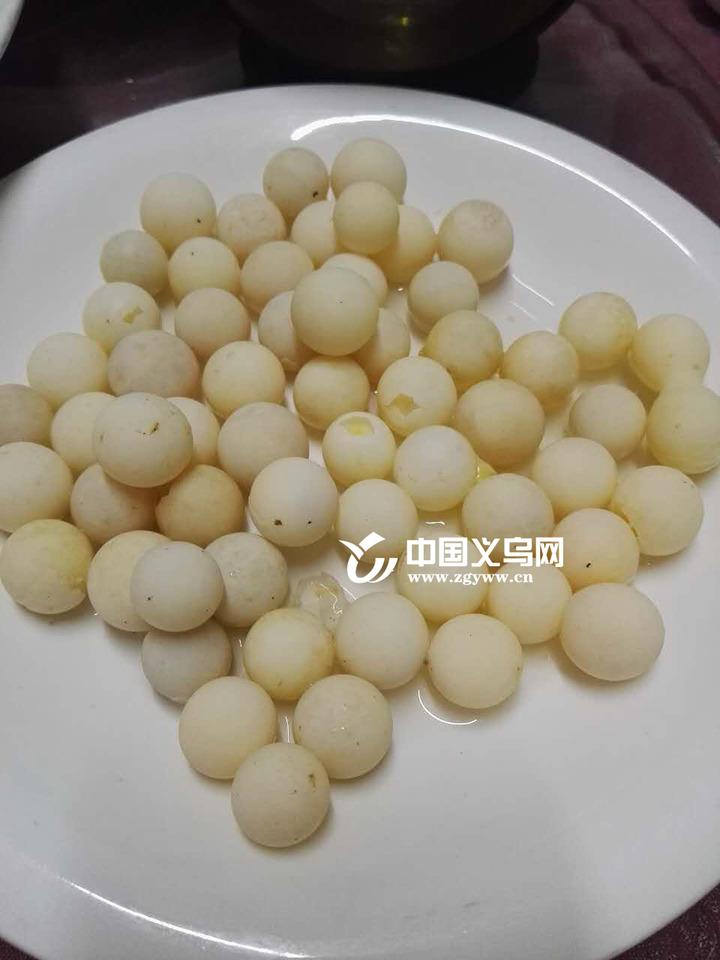 致富养殖浙江甲鱼怎么样_浙江养甲鱼的多吗_浙江甲鱼养殖致富