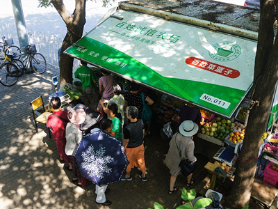 苏胬苯菲分滞计：四川禾嘉股份有限公司关于举行集体接待日公告