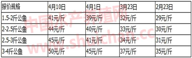 缺货、疯涨，甲鱼最近十年最好的行情已经出现，养殖户疯狂抢苗，其中的风险也要注意！