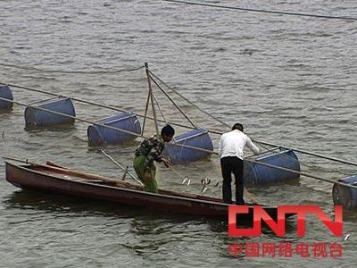 致富经山泉水养殖鱼视频_山泉水养鱼可行性研究报告_山泉水养鱼 致富经