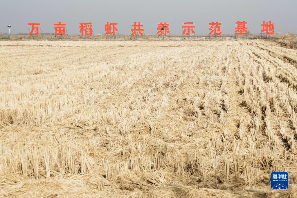 致富种植农业故事简介_农业致富种植故事_致富种植农业故事视频