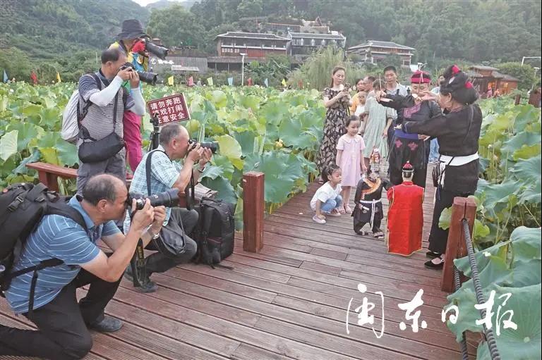 种植致富农村项目大全_农村致富种植牙失败_种植牙的失败案例