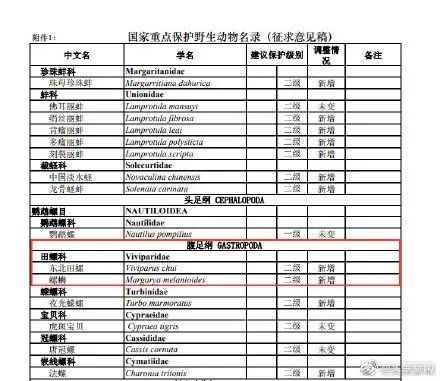 螺蛳拟被列入野生动物保护名录？网友炸锅！专家详解来了