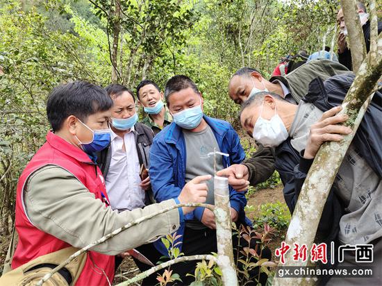 农村致富种植牙失败_种植牙的失败案例_种植致富经