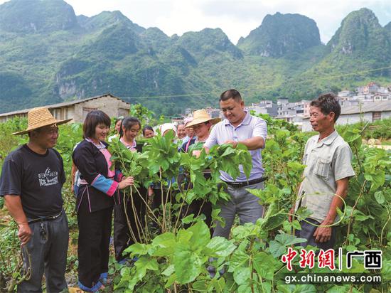 种植致富经_农村致富种植牙失败_种植牙的失败案例