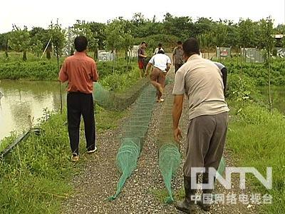 辽宁辽宁特产有哪些_辽宁农村致富项目_致富经 辽宁