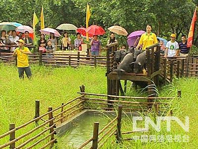 辽宁农村致富项目_辽宁辽宁特产有哪些_致富经 辽宁