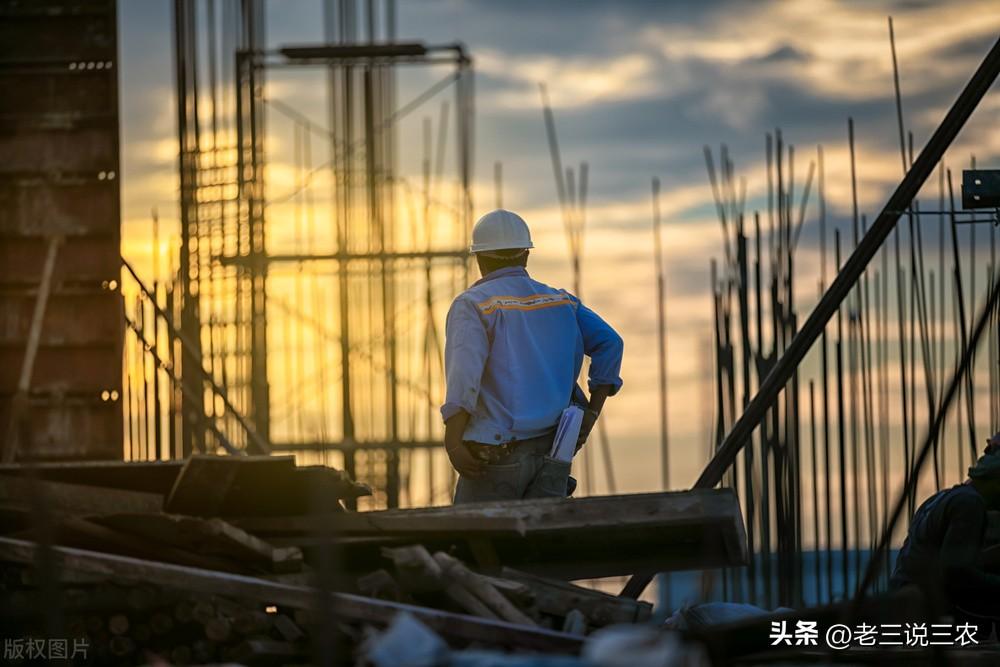 养殖巴马香猪的利润与风险_致富经养巴马香猪_致富养巴马香猪好吗