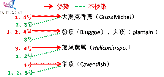 图片 10