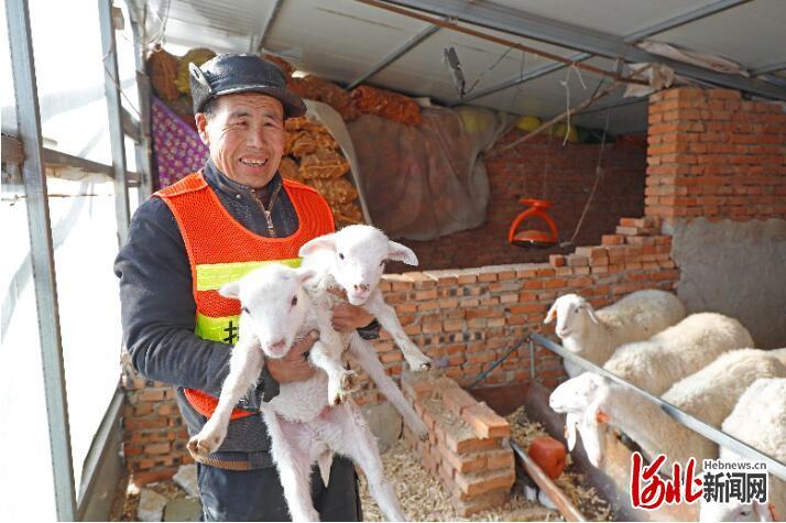 天津致富养殖_天津养殖基地_致富养殖信息