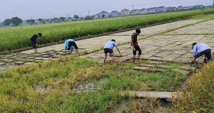 浙江省余姚农家乐_余姚农家乐上致富经_农家致富顾问