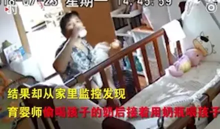 周口水蛭养殖_河南新乡水蛭养殖技术_商丘水蛭养殖