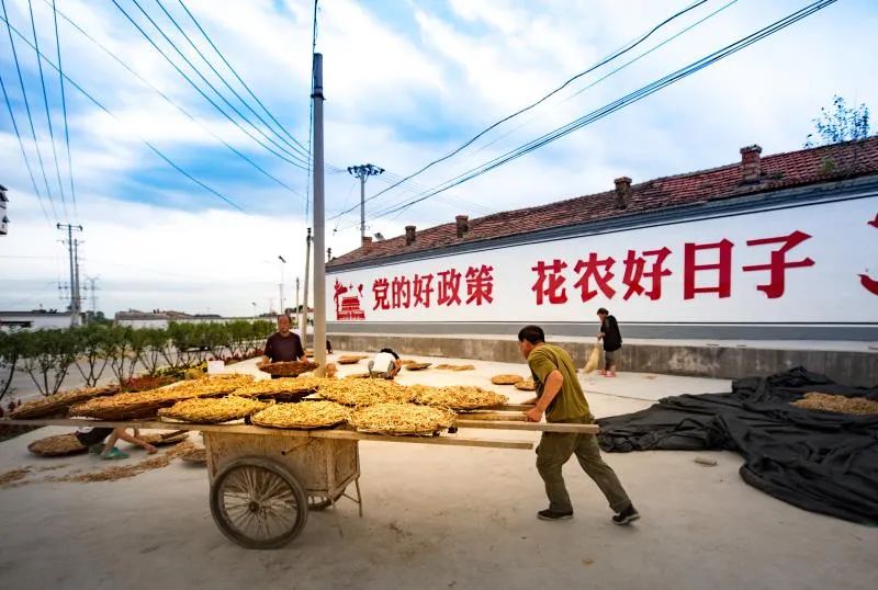 种植室内致富_室内种植什么赚钱_室内种植业致富项目