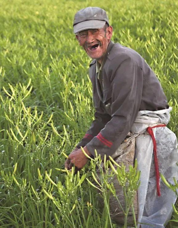 室内种植什么赚钱_室内种植业致富项目_种植室内致富