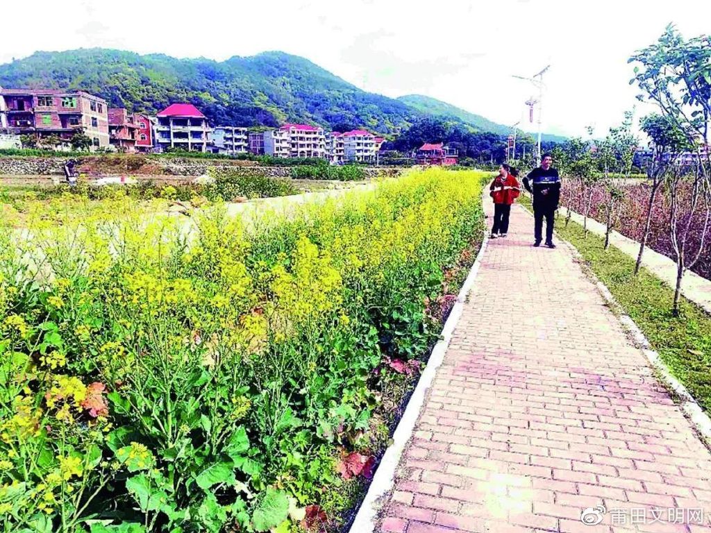 莆田适合种植什么水果_莆田种植致富_莆田种地