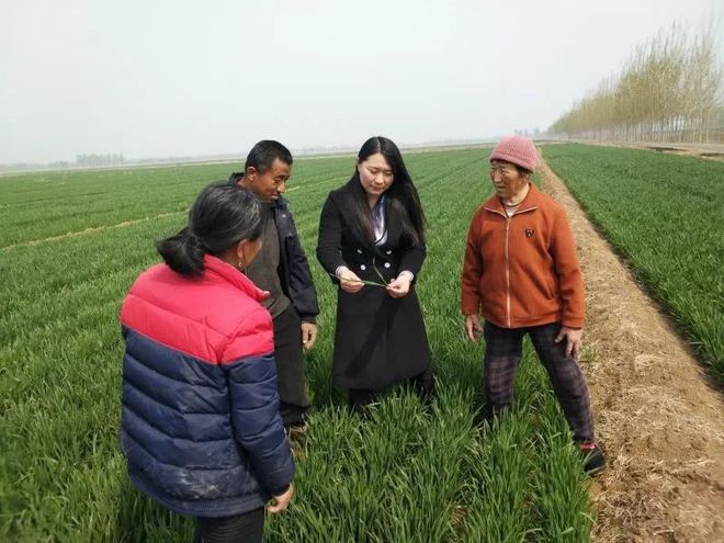 农村致富项目种植业_临邑农村种植致富_农村致富新项目种植业