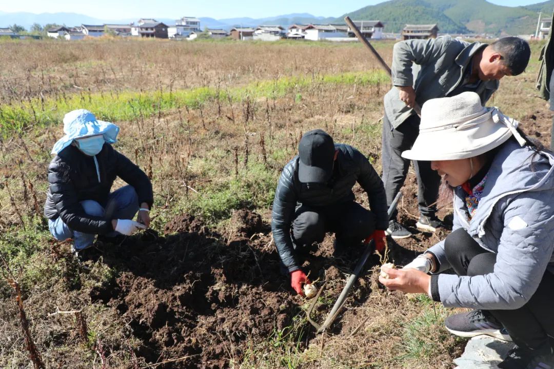 致富经养观赏鱼_致富观赏养鱼图片_致富养鱼视频