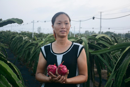 广东紫珠种植效益_紫珠养殖_紫珠种植致富项目