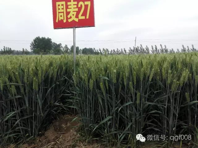 经验优秀_优质经验问题整改措施_优质问题及经验