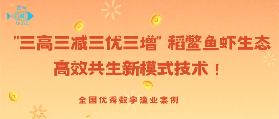 稻鳖鱼虾生态高效共生新模式技术——定远县涨潮现代农业合作社