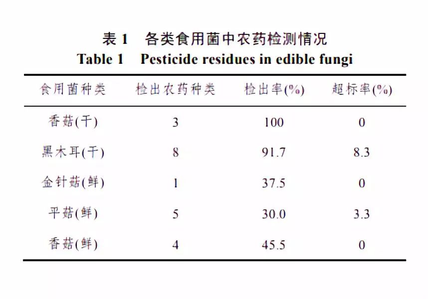 金针菇种植技术视频教程_金针菇种植技术视频资料_金针菇种植技术视频