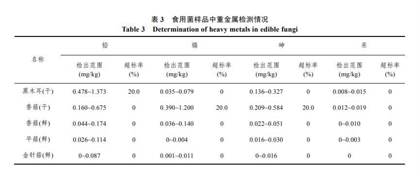 金针菇种植技术视频教程_金针菇种植技术视频资料_金针菇种植技术视频