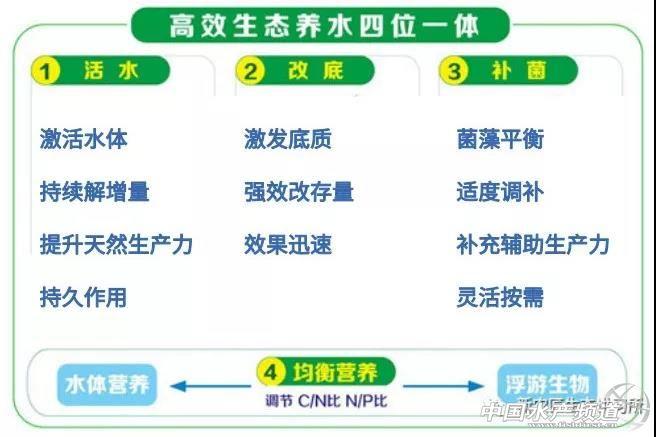 鲈鱼孵化养殖技术_孵化养殖鲈鱼技术要点_鲈鱼孵化水温