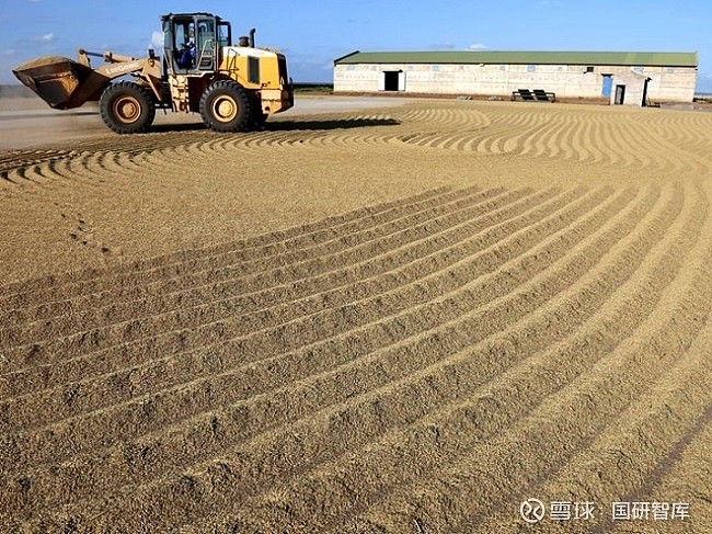 海外种植致富项目_国外种植业_国外致富项目