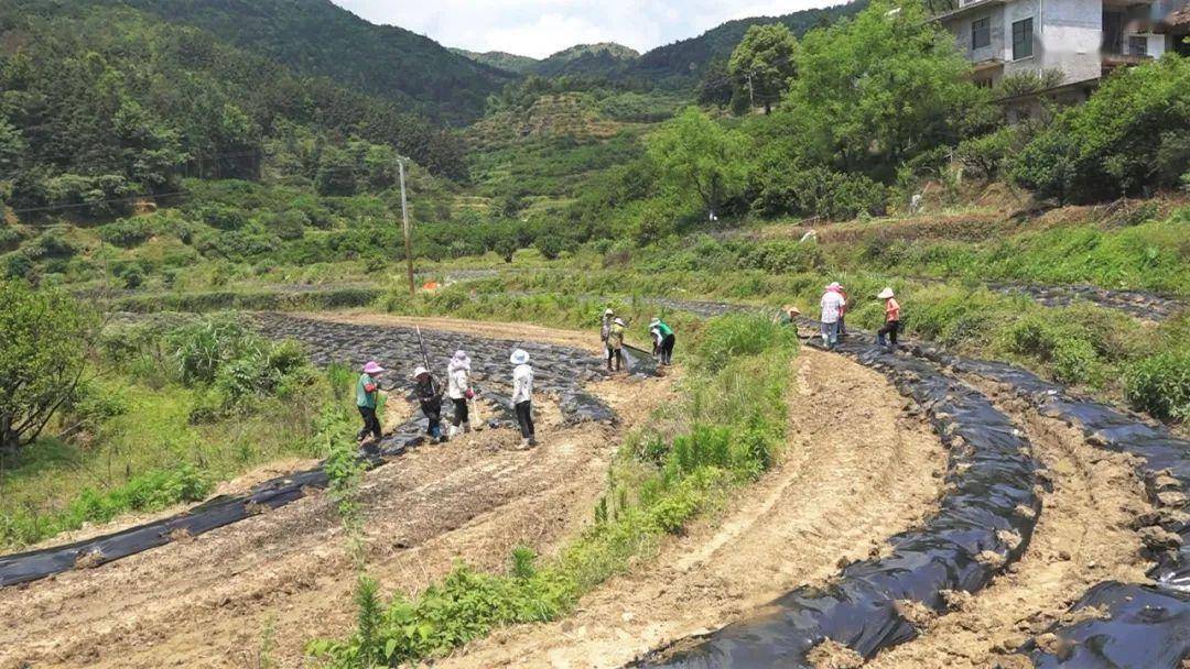 致富经山羊养殖视频_山羊养殖致富视频_农村致富网山羊养殖