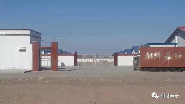 致富养殖信息_珍禽养殖国家有补贴吗_珍禽养殖致富新闻