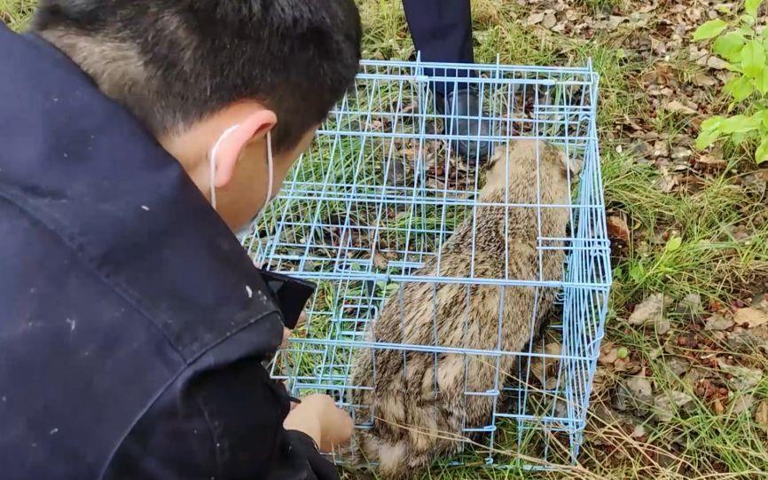 大棚养殖黄鳝技术刘军_大棚养殖黄鳝技术刘军_大棚养殖黄鳝技术刘军