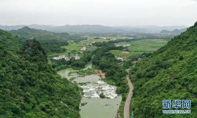 广西致富种植项目_在广西种植什么有前景_广西农村种植致富