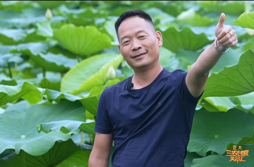 致富经浅水藕种植技术_莲藕种植致富_浅水藕种植视频