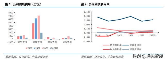 白鸡养殖技术_养鸡场的白鸡_养白鸡什么意思