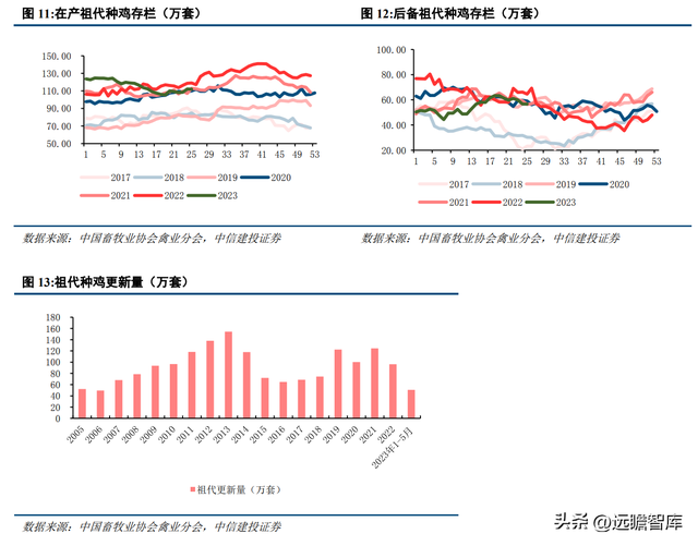 养白鸡什么意思_白鸡养殖技术_养鸡场的白鸡