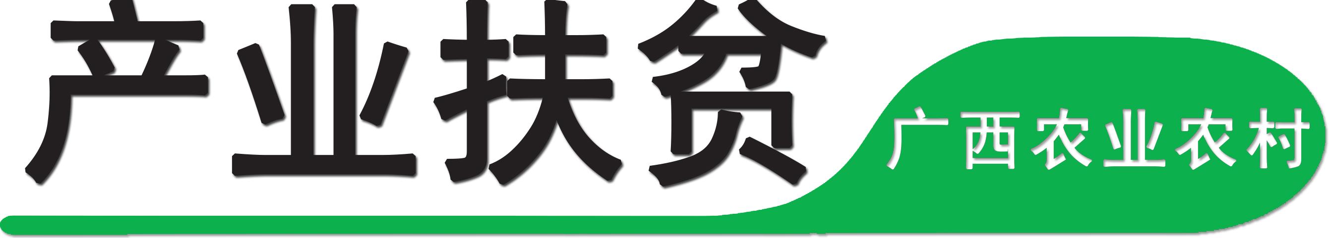 广西百色田阳区：大石山里养猪 闯出致富路